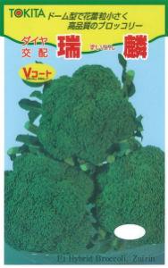 ���ۥ֥��å��꡼�ʥȥ������ġˡ�