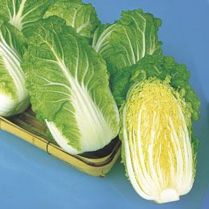 ��γ��ʥȥ������ġ�