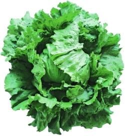 ������ʥĥ륿�Υ��͡�