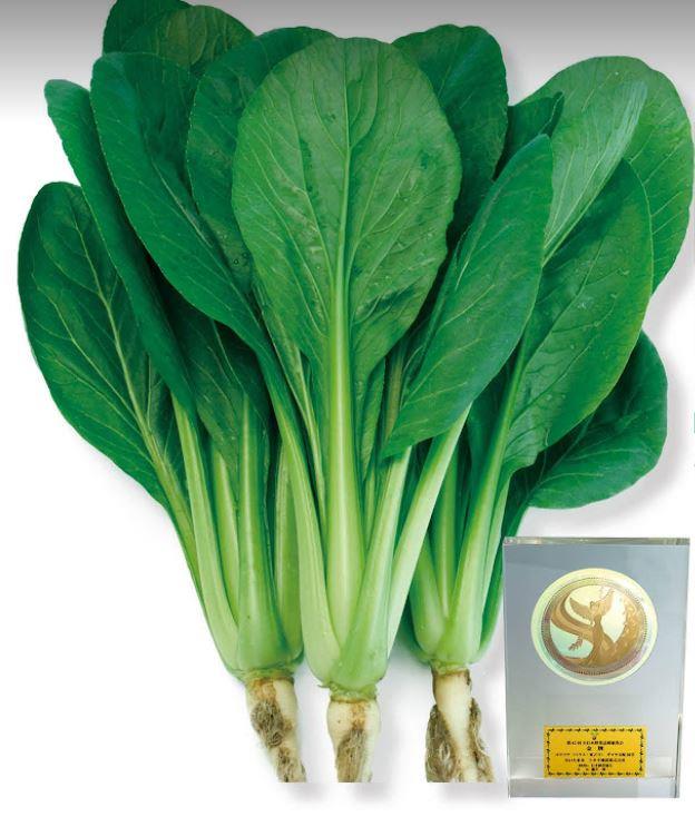 ��˧�ʥȥ������ġ�