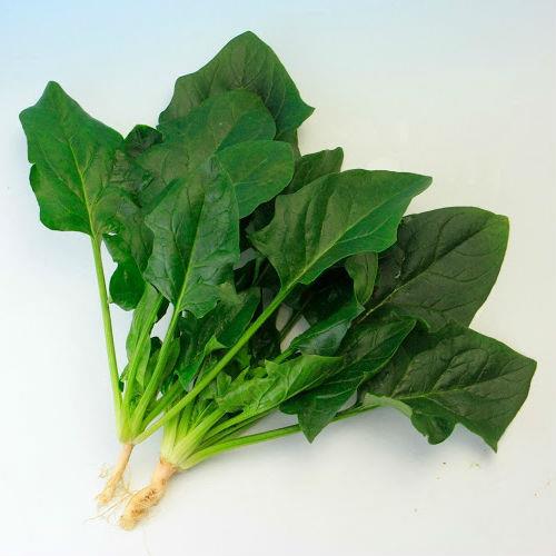 �����ѡ����������ʥȥ������ġ�