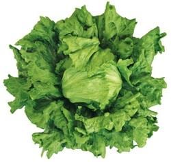 �����ǥ��إåɥ��饹�ʥĥ륿�Υ��͡ˡ�