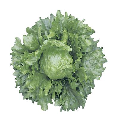 �ե���ȡʥĥ륿�Υ��͡ˡ�