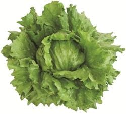 ���르���ʥ��르���إåɥ��饹�ˡʥĥ륿�Υ��͡ˡ�