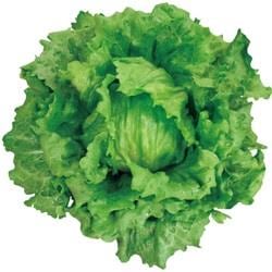 ꥪإåɥ饹ʥĥ륿Υ͡ˡ