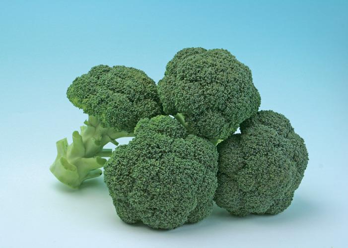 ���ۡʥȥ������ġˡ�