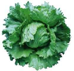 ץ󥰥إåɥ饹ʥĥ륿Υ͡ˡ