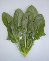 ������ۤ������ʥȥ������ġ�