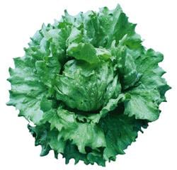 ޡإåɥ饹ʥĥ륿Υ͡