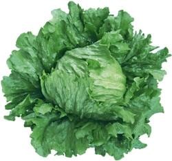 ȥåץסʥĥ륿Υ͡ˡ