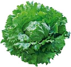 �С��ʥ�ȥ��󥹥��饹�ʥĥ륿�Υ��͡ˡ�