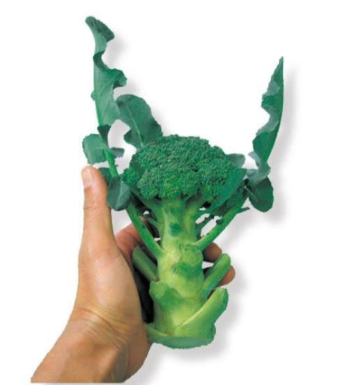 �ߥ˥å��꡼�ʥȥ������ġˡ�