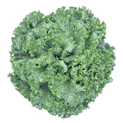 ꡼꡼գʥĥ륿Υ͡ˡ