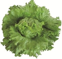 쥹إåɥ饹ʥĥ륿Υ͡ˡ