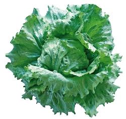 ޥɥإåɥ饹ʥĥ륿Υ͡ˡ