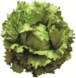 إåɥ饹ʥĥ륿Υ͡ˡ