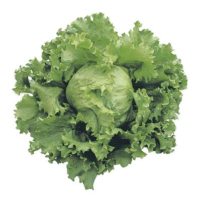 CLASSIC饷åʥĥ륿Υ͡ˡ