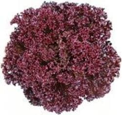 Х饨ƥǻ֡ʥĥ륿Υ͡ˡ