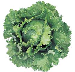 ��˥С����ạ̃��ӣӣɣå��饷�å��ʥĥ륿�Υ��͡ˡ�