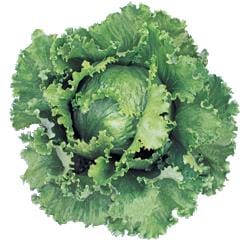 ˥Сạ̃ӣӣɣå饷åʥĥ륿Υ͡ˡ