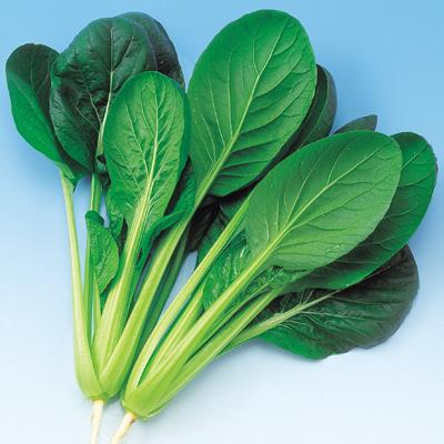 �Ƥ狼�ʾ����ڡ��渶�μ���