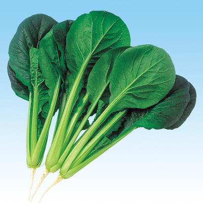 ���狼�ʾ����ڡ��渶�μ���