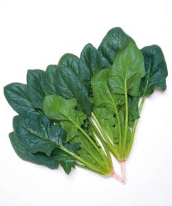 ����ݡʥ��������ġ�