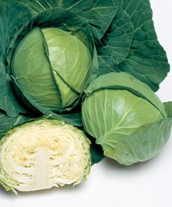 �����ӣСʥ��������ġ�