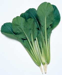 �ڡ��ҡʥ��������ġ�