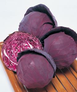 �ѥ��ӡ��ʥ��������ġˡ�