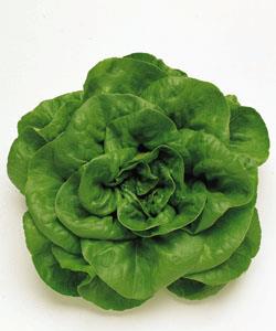 ����������ڡʥ��������ġˡ�