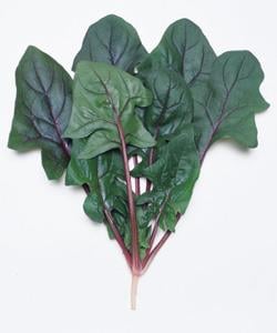 ���������������ʥ��������ġˡ�