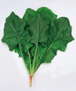 �ȥ饤�ʥ��������ġ�