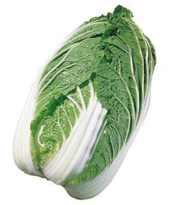 �յ��ʥ��������ġˡ�