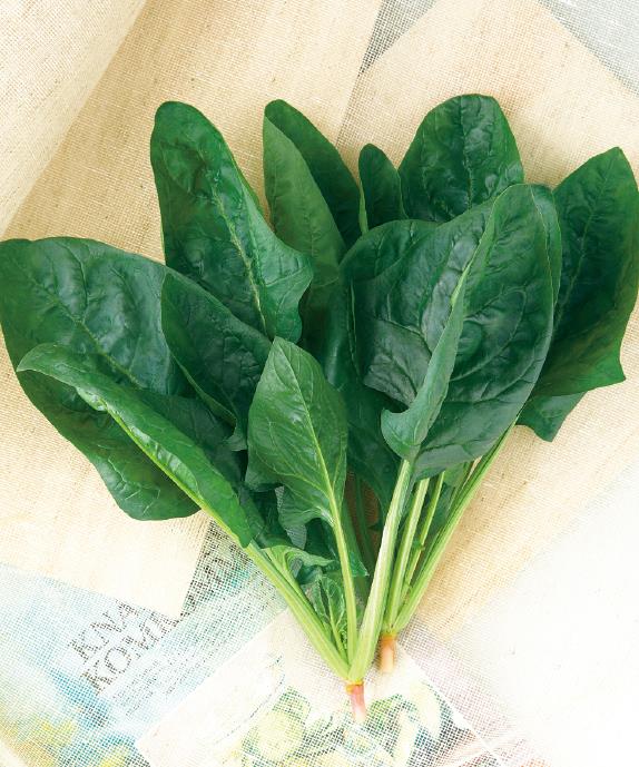 ���ꥵ�ޡ��ҥåȡʥ��������ġˡ�