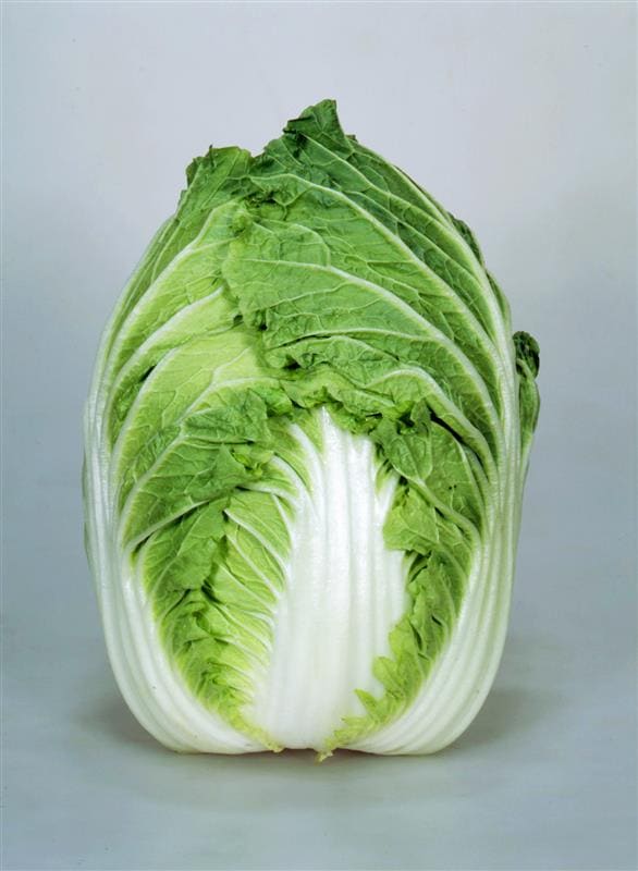 �����ʥ��ͥ����ġ�