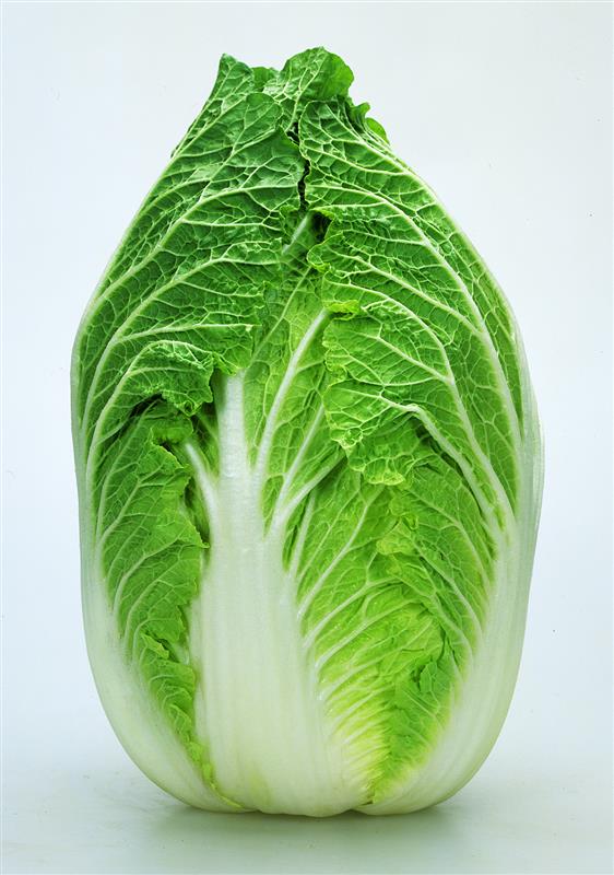 ��˾�������ʥ��ͥ����ġ�