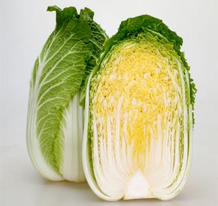 ���Ȥ֤��ʥ��ͥ����ġ�