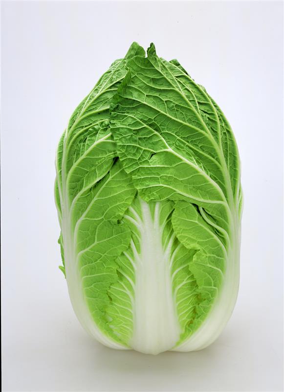 ��˾�������ʥ��ͥ����ġ�