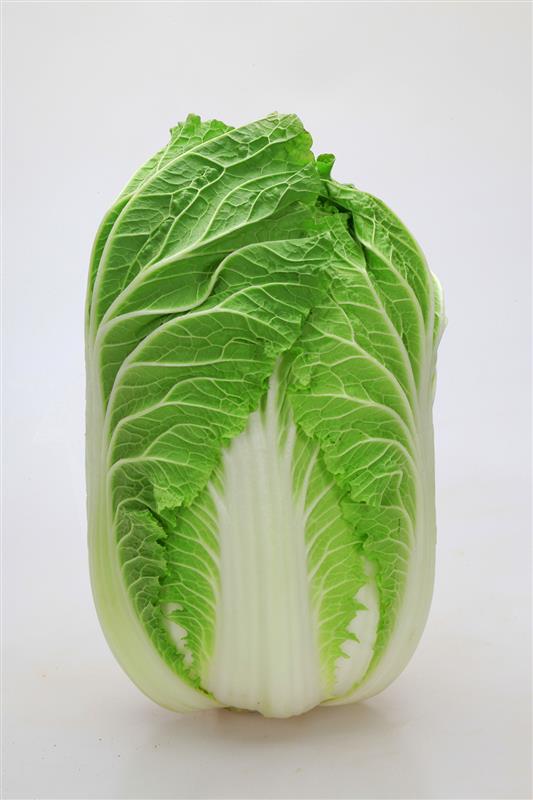 �ڻ����ʥ��ͥ����ġ�