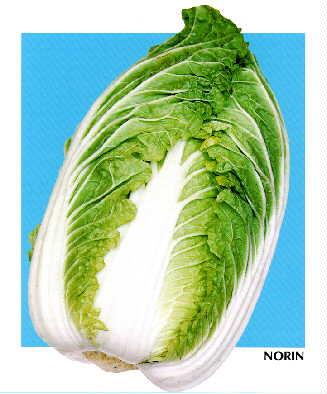 �ãҴ���Σ���������������Ӽҡˡ�