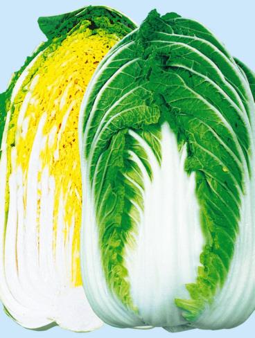 ���ߤɤ���������Ӽҡ�