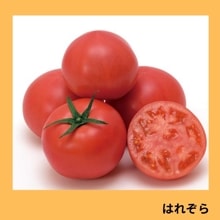 �Ϥ줾��ʥ��������ߤ��ɡ�
