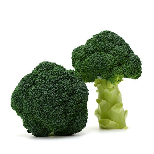 �ͣˣӡݣ£������ʥ��������ߤ��ɡ�