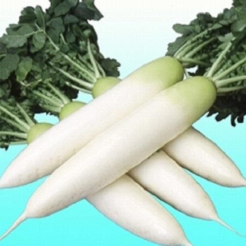 �����ʥ��������ߤ��ɡ�