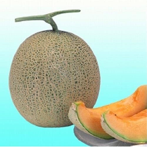 ��ԥ���åɡʥ��������ߤ��ɡ�