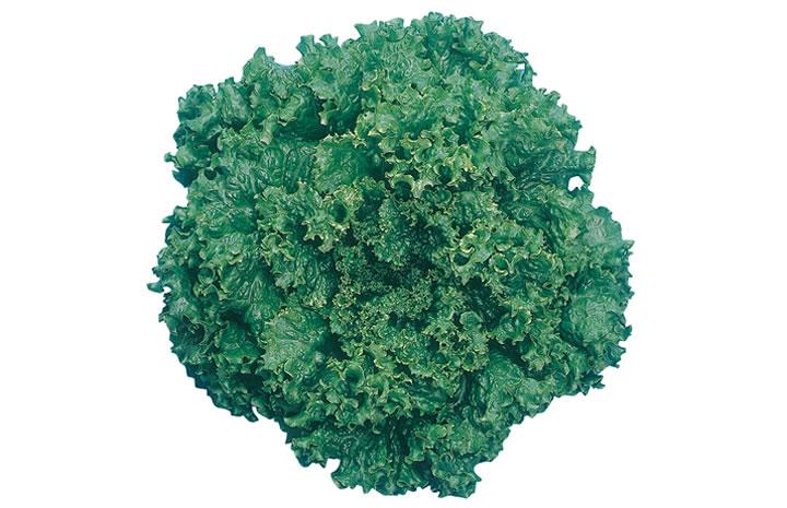 �ޥ�Ρʲ��Ϳ��ڡ�*