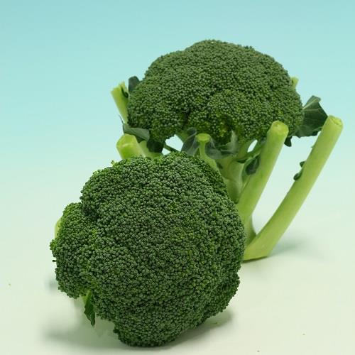 ���ԡ��ɥɡ��ࣰ�����ʥ��������ߤ��ɡ�