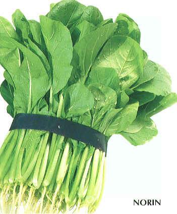 ������ڡ��������Ӽҡˡ�