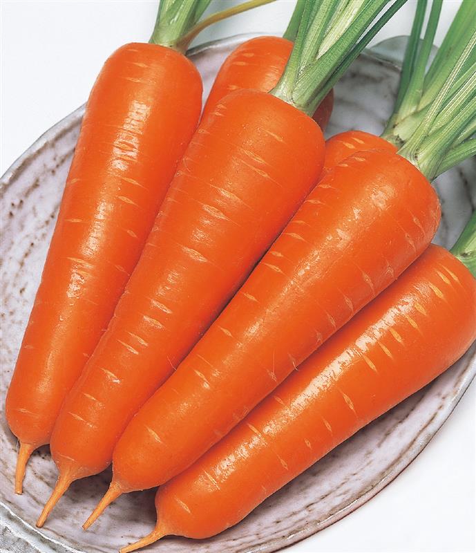 �ģ򡥥����ƥ󣵡ʥ��������ġ�